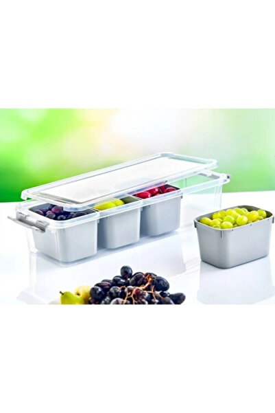 Flora 4 Bölmeli Buzdolabı Saklama Kabı, Kuruyemiş Meyve Takı Baharat Kahvaltı Organizer Kutu 3,4 Lt