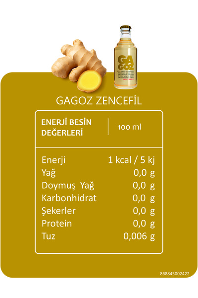 GA GOZ Gazoz Zencefil Aromalı Gazlı Içecek - Ginger Ale 250 ml X 24'lü Paket