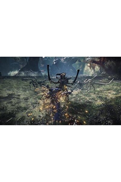 Focus PS5 Warhammer 40,000: Space Marine 2 Gold Edition (UAE Version)