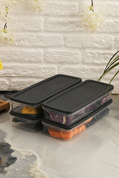 Leila Anthracite 4-Piece Storage Container with Lid, Refrigerator Organizer Suitable for Microwave and Freeze 4Lt