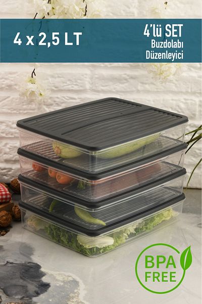 Leila 4 Pcs Anthracite Lid Storage Container, Suitable for Refrigerator Organizer Microwave and Freeze 10Lt