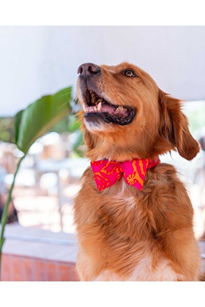 Lorico Köpek Çıtçıtlı Desenli Papyon - Aksesuar