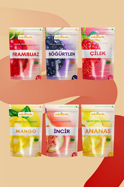 Dried Fruit Chips Favorite Set of 6