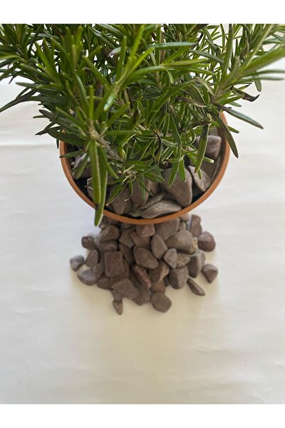 Erdönmez Peyzaj - Dolomit Bordo Renkli ( 2-4 cm. Boy / 3 kg. ) Bahçe Dekorati...