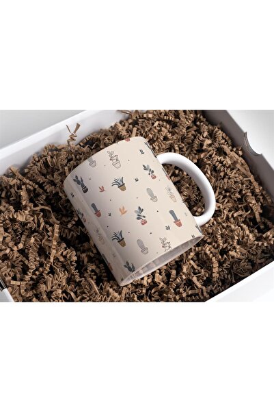 riyaz Kupa Bardak, Mini Kaktüs