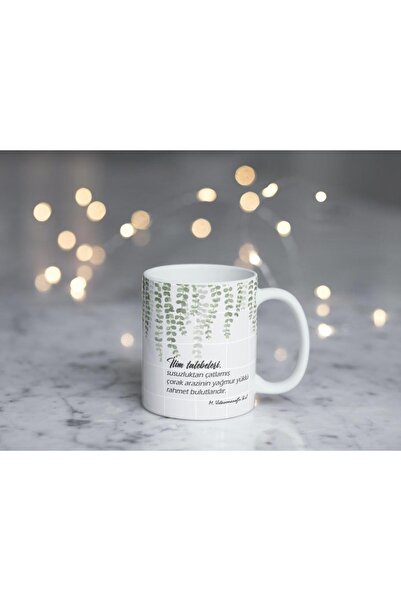 riyaz كأس الكأس، م. أوستا أوغلو - طالب