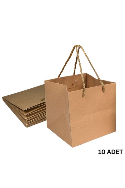 roco paper Kraft Karton Pasta Çanta, 10'lu - Kare Taban, Körüklü, İpli Hediye Taşıma Çantası, 24x24x24 cm