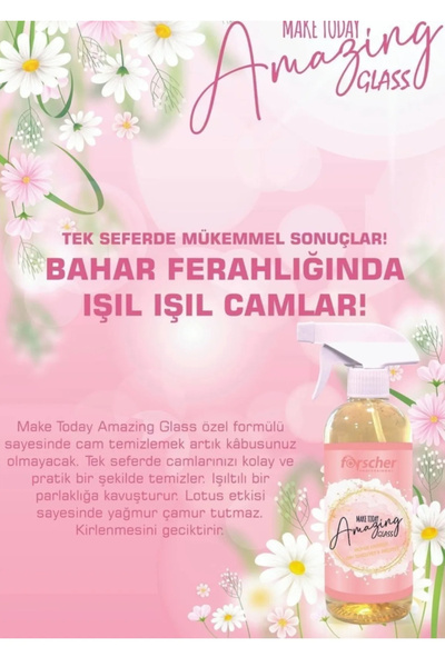 Home 2 Adet Cam Temizleyici
