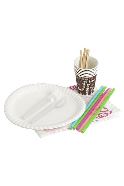 Roll-Up Disposable Picnic Set 37 Pieces