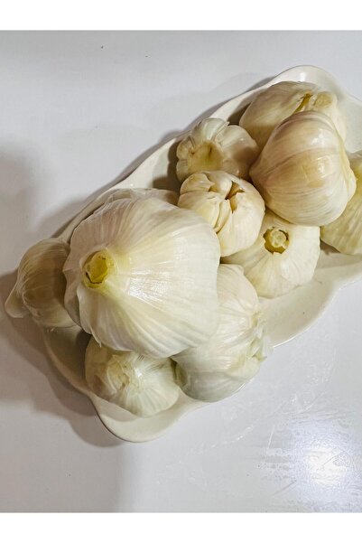 gazisofraantep Baş Sarımsak Turşusu 5'lik Pet