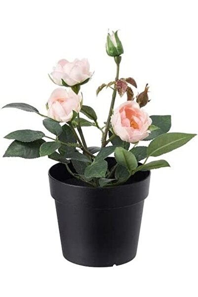 Generic Artificial Potted Plant Multicolour 20cm
