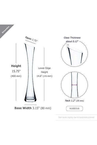 WGVI مزهرية برعم - مزهرية ماريا الزجاجية الشفافة، ارتفاع 41 سم، فتحة مائلة 7....