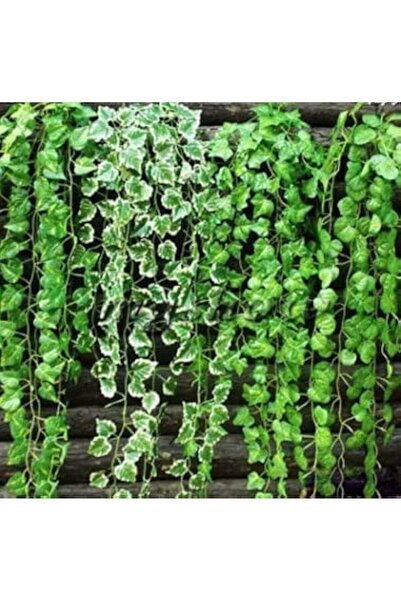 Generic 6 قطع من أوراق اللبلاب الصناعية المعلقة باللون الأخضر