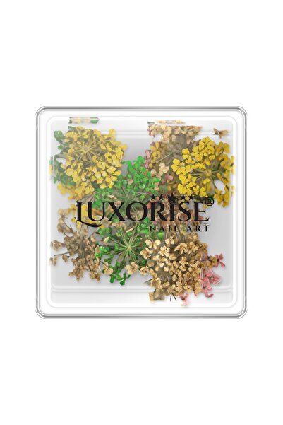 LUXORISE Unghii cu flori uscate - Mirage Meadow