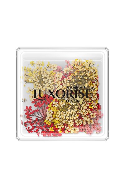 LUXORISE Unghii cu flori uscate - Mystic Flowers