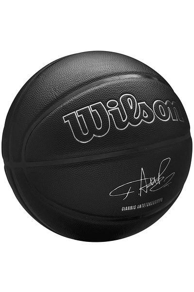 Wilson NBA Player Evergreen Bskt Giannis, Unisex Basketball ball