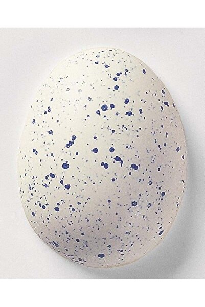 Botz 356 Blaugranitti