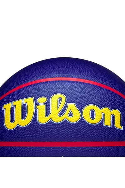 Wilson 2025 NBA All Star Auto Ball, Unisex Basketball ball