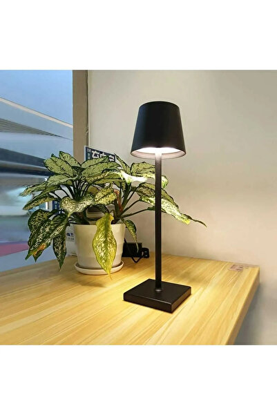 Cata CT-8437 Şarjlı Dokunmatik LED Masa Lambası 3 Renk Ayarlı Dimmerli Dekora...