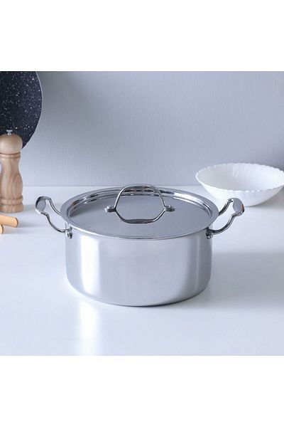 Danube Home Celina Stainless Steel Casserole With Ss Lid 2.5Mm|Stainless Steel|W24Xh12.5CM-Silver
