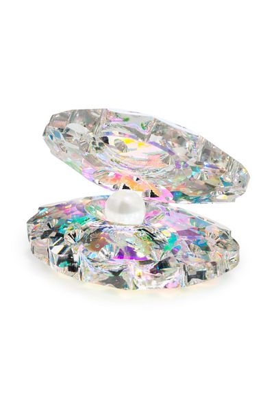 Cupio Glass ornament for pictures Shell