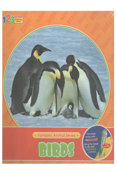 Educational Birds - عادي