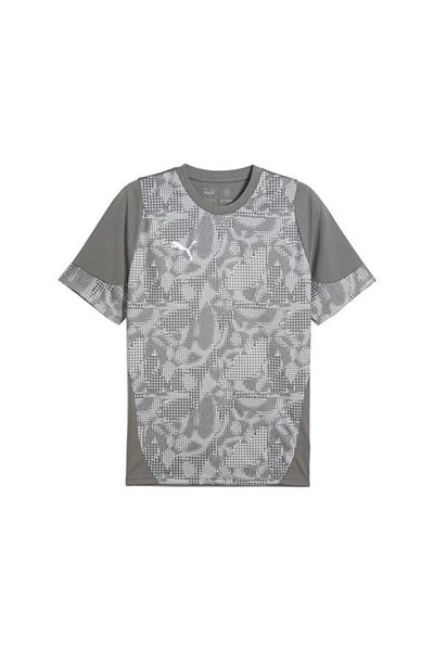 Puma Teamcup Training Jersey Ανδρικό μπλουζάκι ποδοσφαίρου 65916713 Γκρι