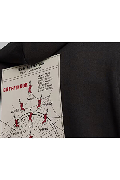 Puma Puma X Harry Potter Hoodie Unisex Günlük Sweatshirts 63009301 Renkli