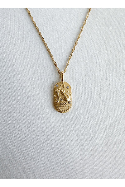 FİL Çelik Kolye - Aquarius - Kova - Gold