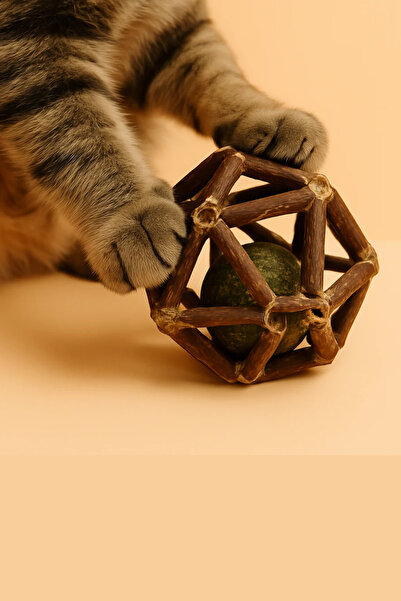 Coolizz Chestnut – Matatabi Play Ball & Oral Cleanser