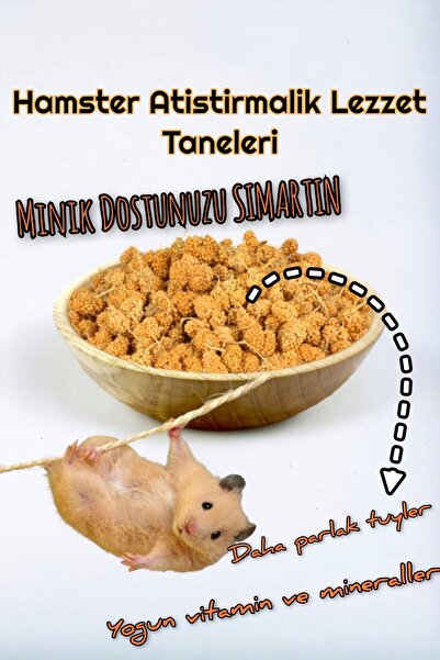ozzipetshop Hamster Için Ozel Dogal Dari Lezzet Taneleri 100 gr