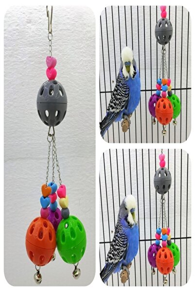 ozzipetshop Sultan Ve Cennet Papağanı-Muhabbet Kuşu -Zilli Kuş Oyun Toplari