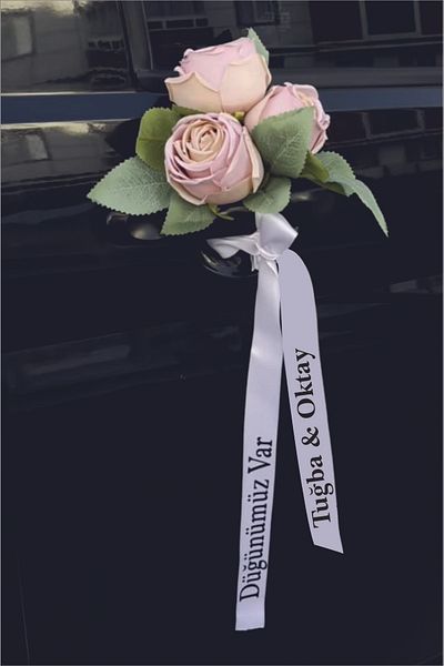 Ary ribbon
