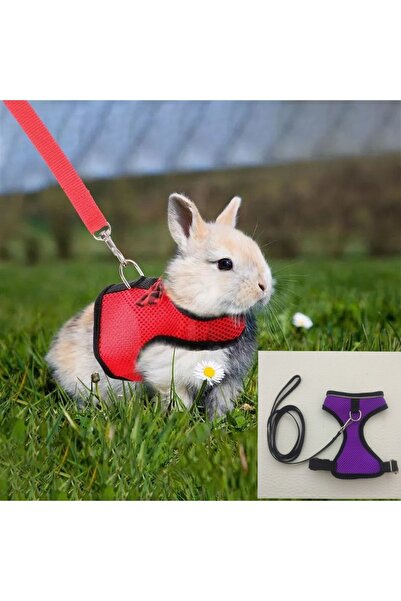 ozzipetshop Tavşan Için Özel Fileli Tasma (800 gr 2 Kg Arası ) Tavşan Lara Uygun