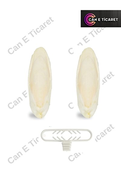 Pelagos 2adet Mürekkep Kalamar Kemiği Small Boy - Kalamar Kemiği Tutacağı