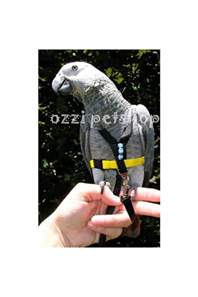 ozzipetshop Jako Papağan Tasması - Ayarlanabilir Kayışlı, Hafif Malzeme, 140 Cm Gezdirme Ipi