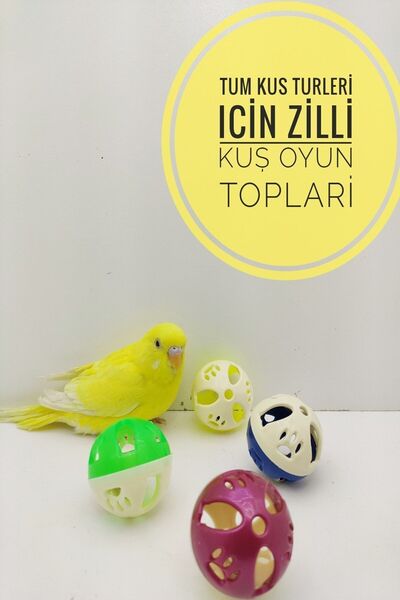 ozzipetshop Muhabbet Kuşu Zilli Oyun Topu 4 Adet