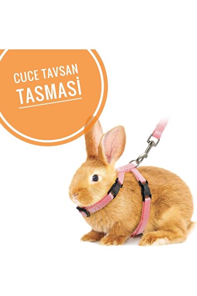 ozzipetshop Hollanda Cüce Tavşan Tasması