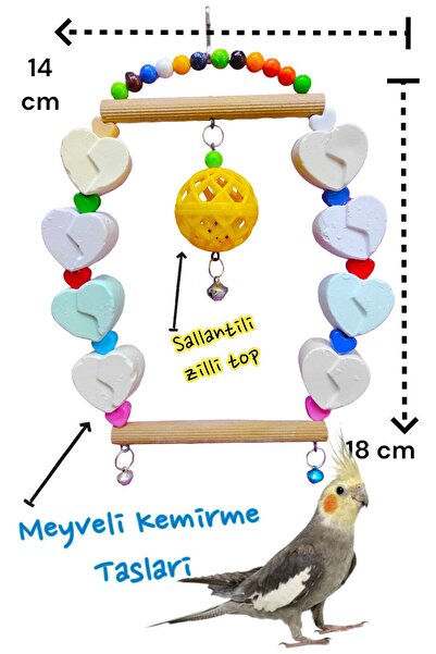 ozzipetshop Sultan - Forpus - Cennet Papağan I Icin Zilli Toplu Kuş Salıncağı...