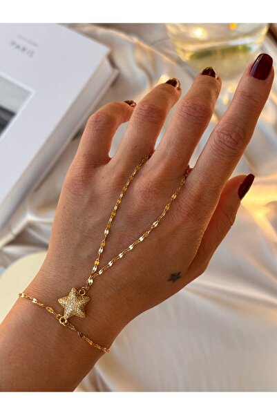 HERCY 316 لتر ستانلس ستيل زركونيا شاهمران |   شاهمران الذهب