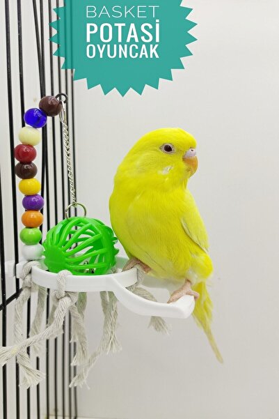 ozzipetshop Cennet Papağanı Basket Oyuncagi - Gaga Taşı Hediye