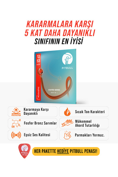 Pitbull Strings Покрита серія акустична гітара Teli CAG 12-53 L