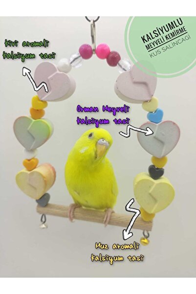 ozzipetshop Muhabbet Kuşunda Stresi Engelleyen Oyuncak Salıncak