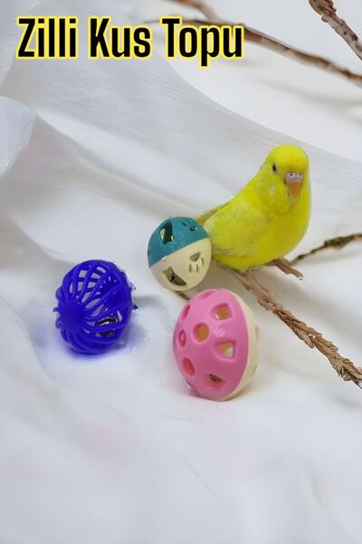 ozzipetshop Zilli Muhabbet Kuşu - Papagan Oyun Topu 3 Adet
