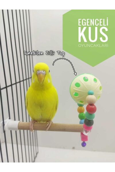 ozzipetshop Muhabbet Kuşu Zilli Toplu Tünek Oyuncak - Hareketli Kuş Aktivite ...