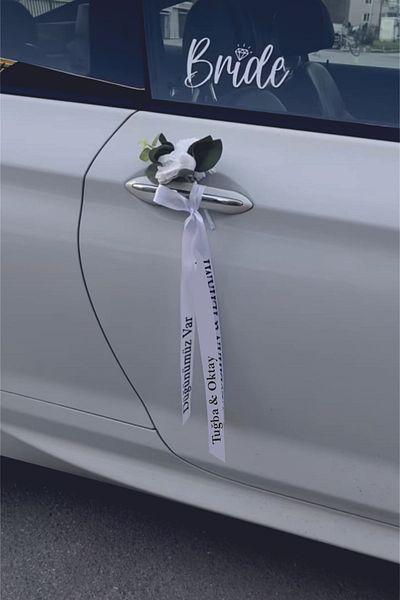 Ary ribbon