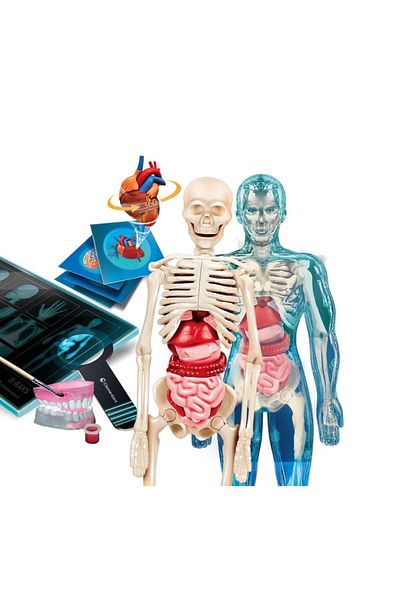 Skygo 64474 Science and Play - Super Anatomy +8 years