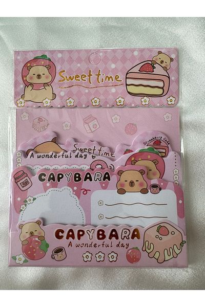 PARLAK EVREN Sticky note paper