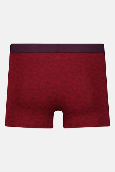 CELIO Men 1 Piece Allover Print Boxer Brief, Multicolor