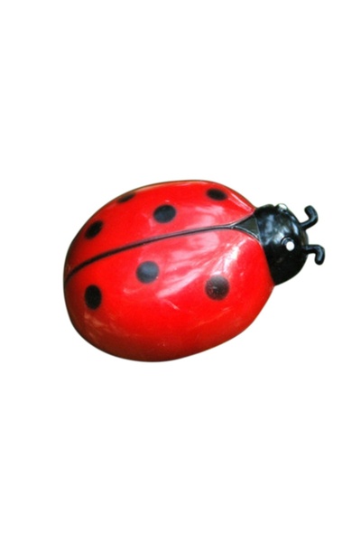 Choice J Mini Electric Bug Pet Dog Cat Toy Interactive Cute Ladybird Beetle Animal Shape Cat Toys Walking .